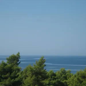  Apartment Seapine